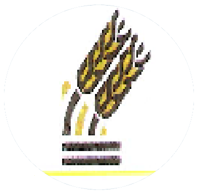 Secebalsa | Semillas y Cereales